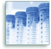 Test Tubes